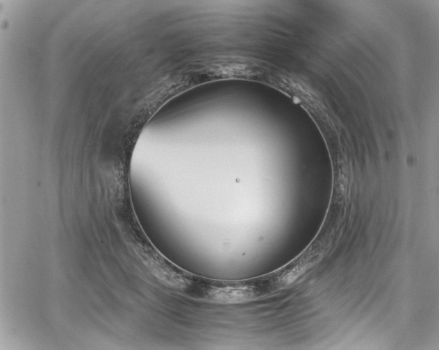 X0000067950461200604171440