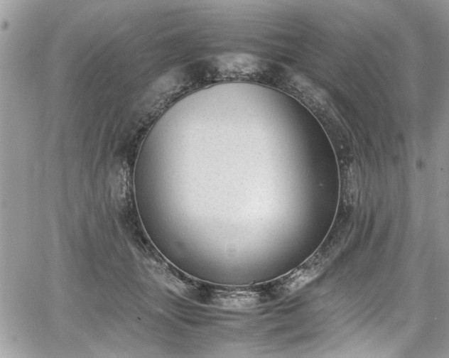 X0000067950463200604171440