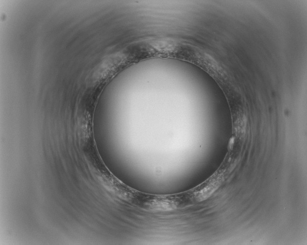 X0000067950464200604171440