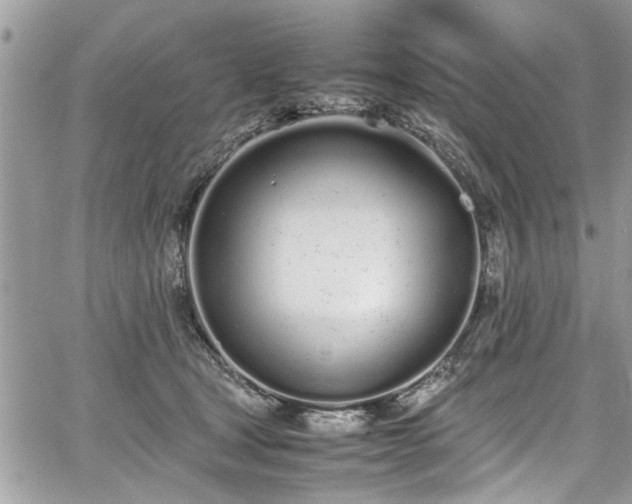 X0000067950465200604171440