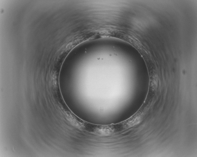 X0000067950466200604171440