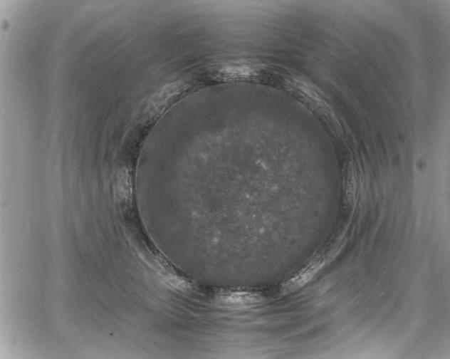 X0000067950467200604171440