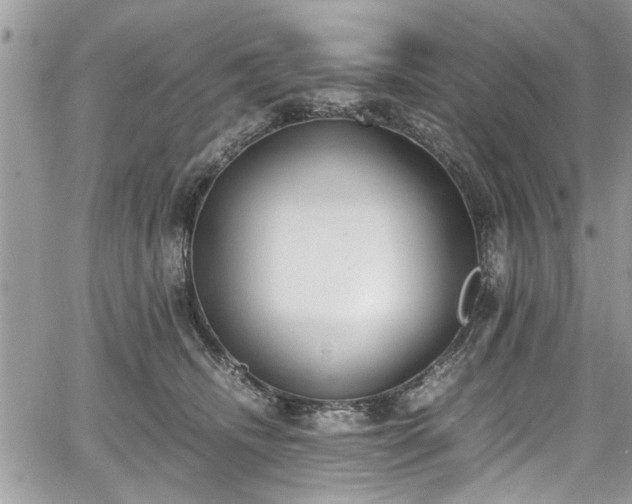 X0000067950468200604171440