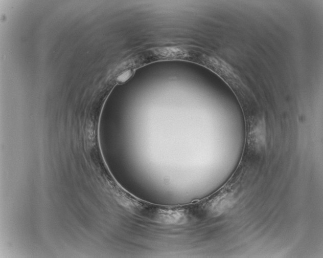 X0000067950469200604171440