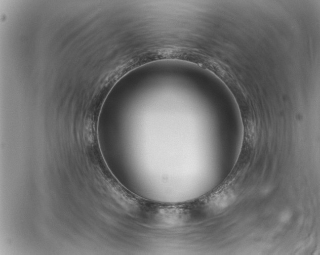 X0000067950470200604171440