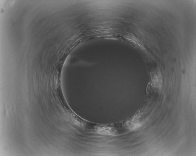 X0000067950471200604171440