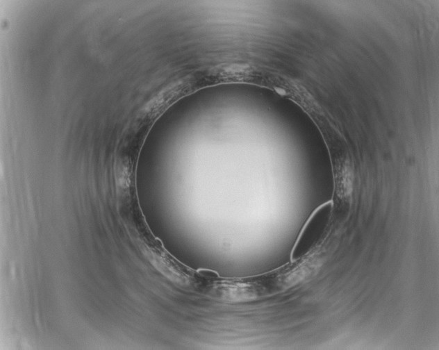 X0000067950472200604171440