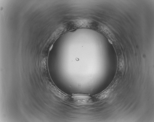 X0000067950473200604171440