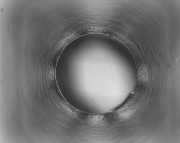 X0000067950474200604171440