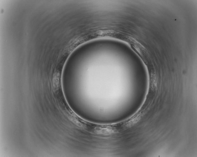 X0000067950475200604171440