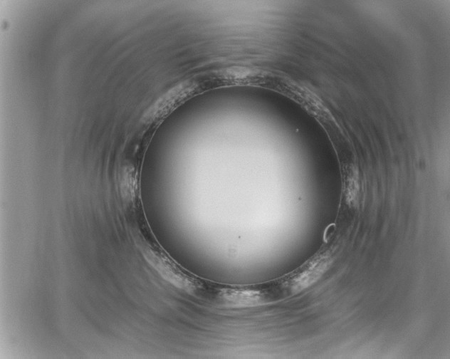 X0000067950476200604171440