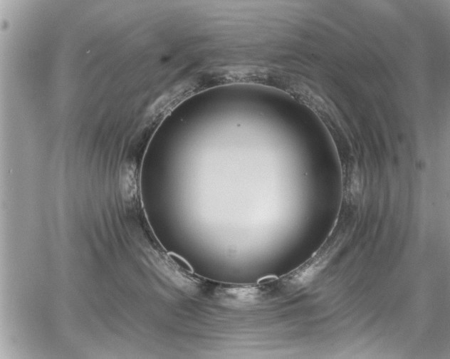 X0000067950478200604171440