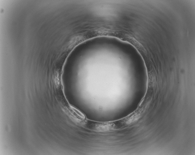 X0000067950479200604171440