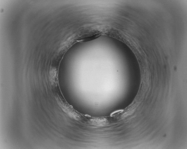 X0000067950480200604171440