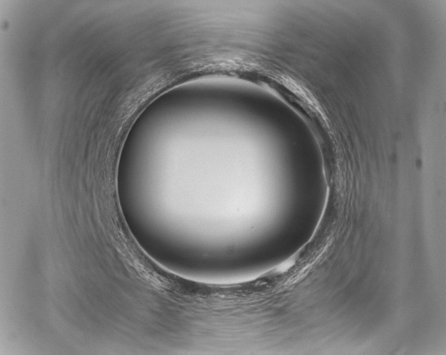 X0000067950481200604171439