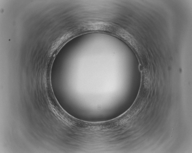 X0000067950482200604171439