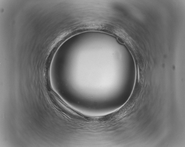 X0000067950483200604171439