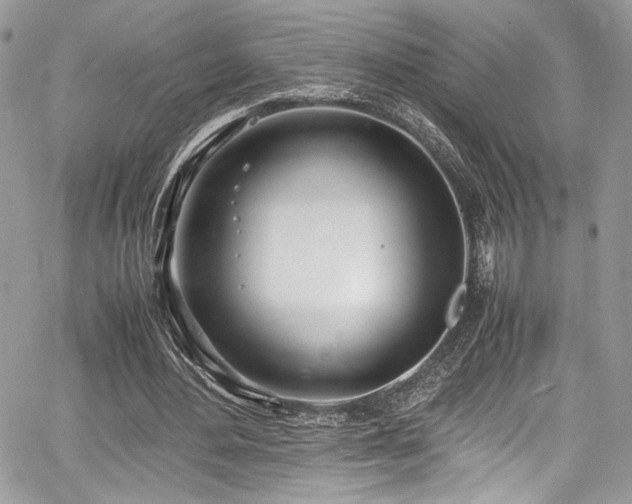 X0000067950484200604171439