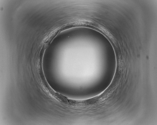 X0000067950485200604171439