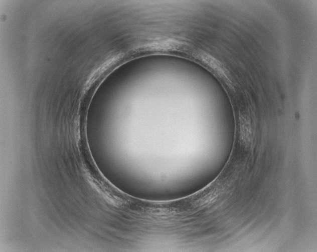 X0000067950486200604171439