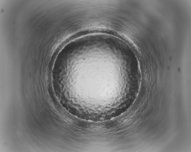 X0000067950487200604171439