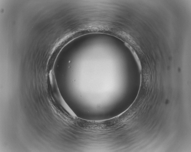 X0000067950488200604171439