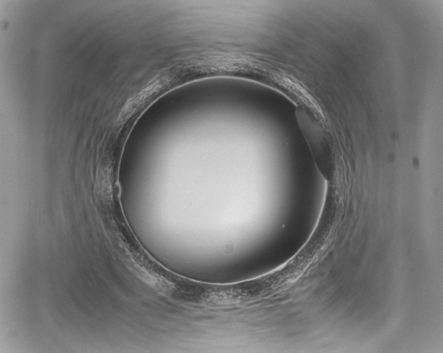 X0000067950489200604171439