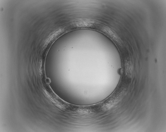 X0000067950490200604171439