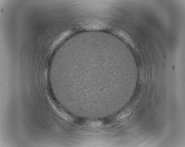 X0000067950491200604171439