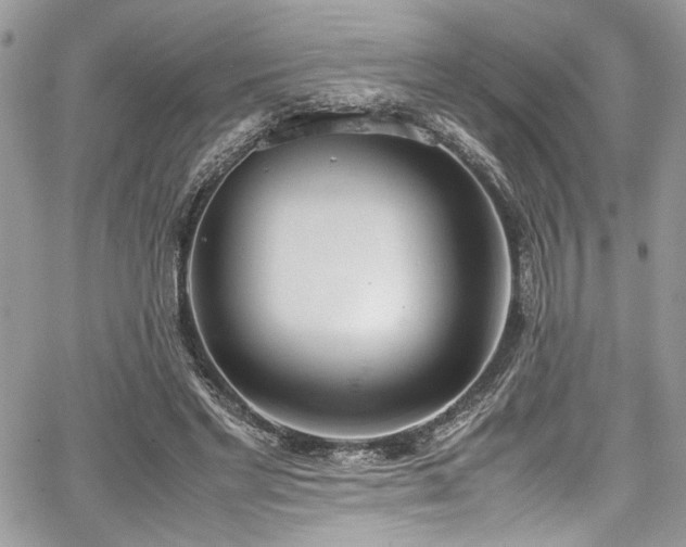 X0000067950493200604171439