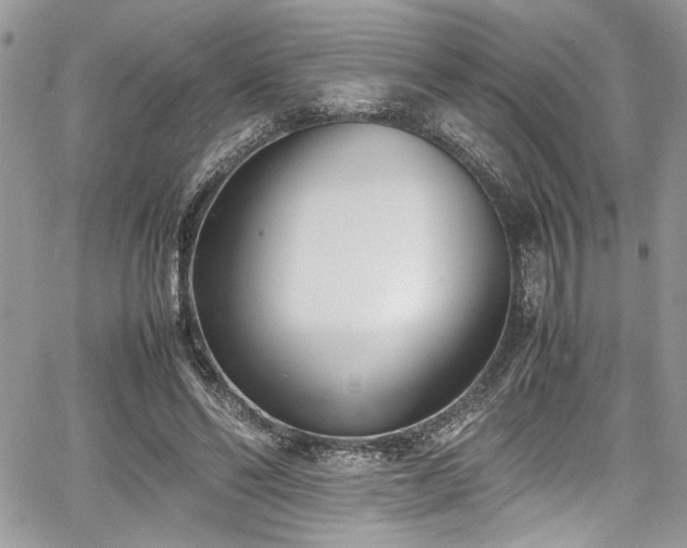 X0000067950494200604171439