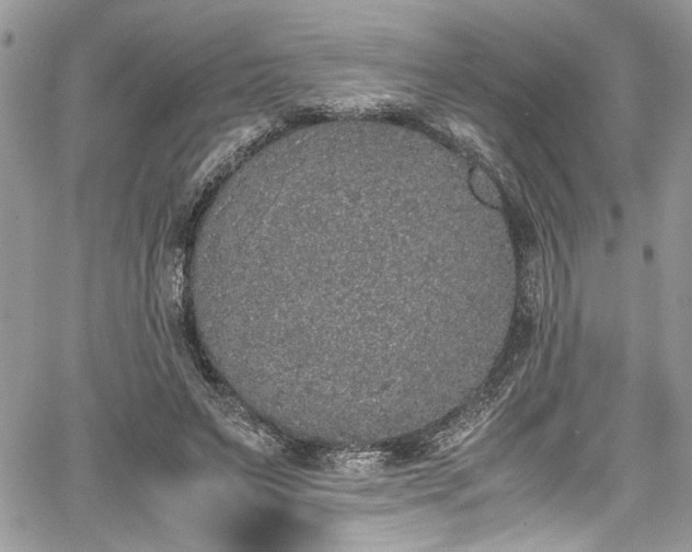 X0000067950495200604171439