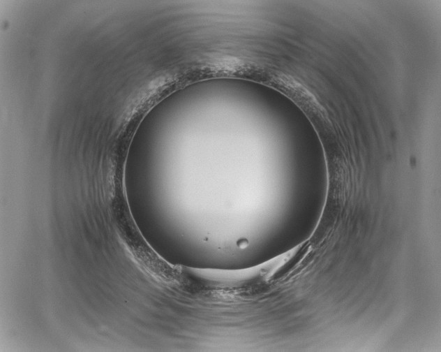 X0000067950496200604171439