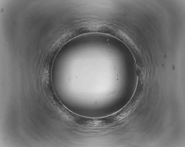 X0000067950497200604171439