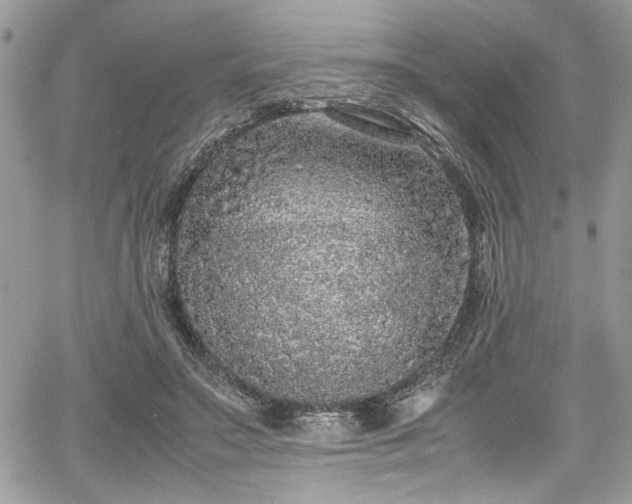 X0000067950499200604171439