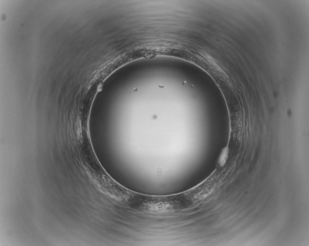 X0000067950500200604171439