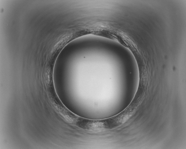 X0000067950501200604171439