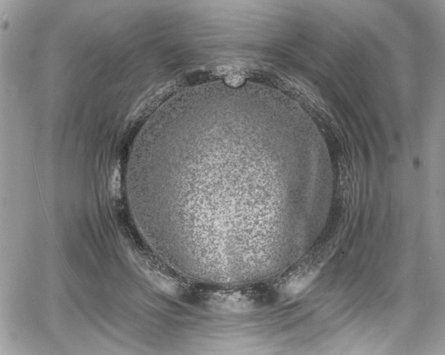 X0000067950502200604171439