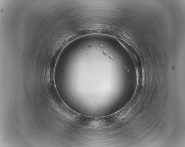 X0000067950504200604171439