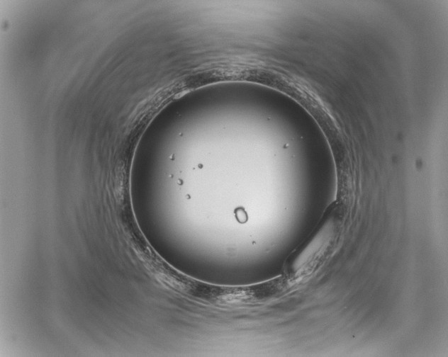 X0000067950505200604171439