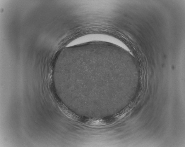 X0000067950507200604171439