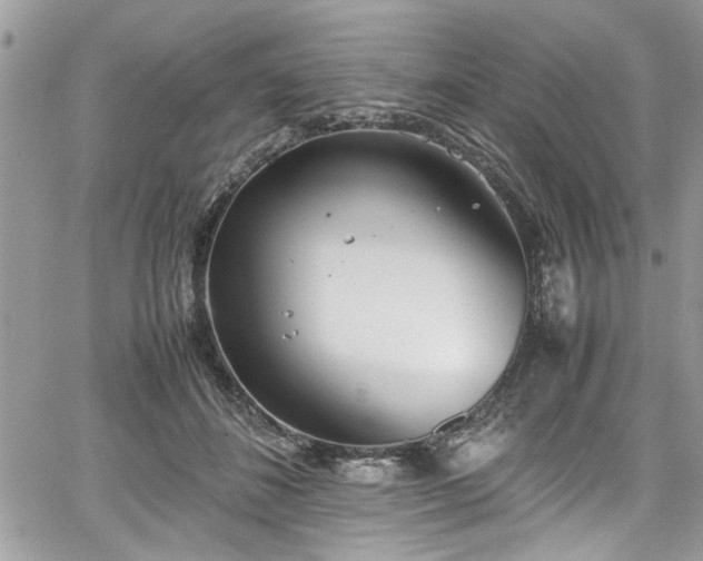 X0000067950508200604171439