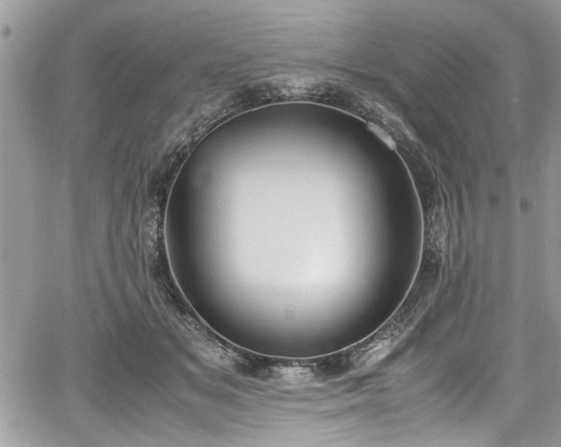 X0000067950509200604171439