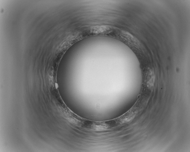 X0000067950510200604171439