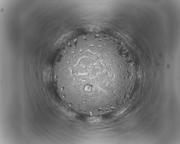 X0000067950511200604171439