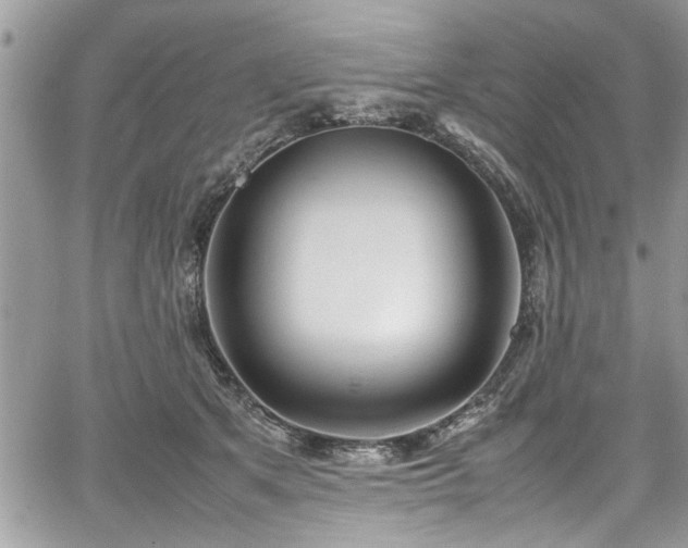 X0000067950513200604171439