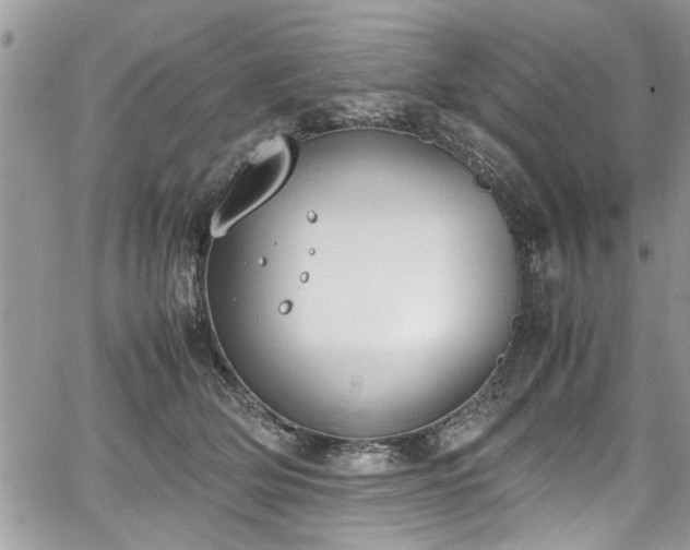 X0000067950514200604171439