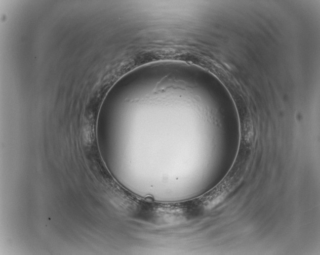 X0000067950515200604171439