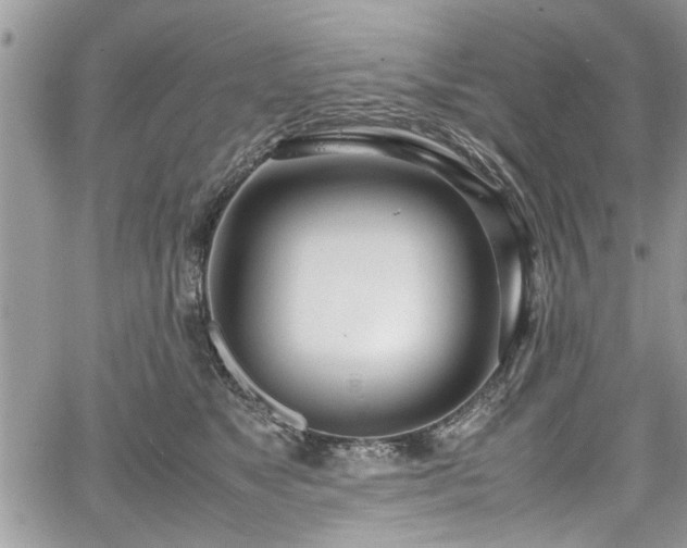 X0000067950517200604171439