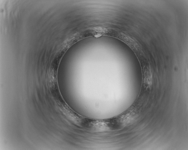 X0000067950518200604171438